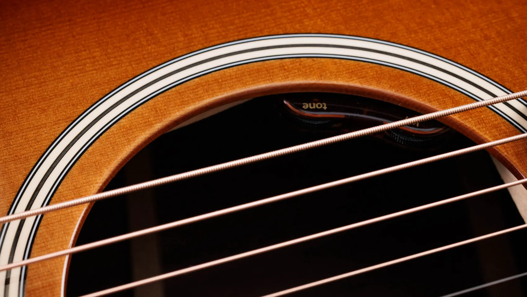 Gold Label 710e Special Edition Indian Rosewood Acoustic-Electric